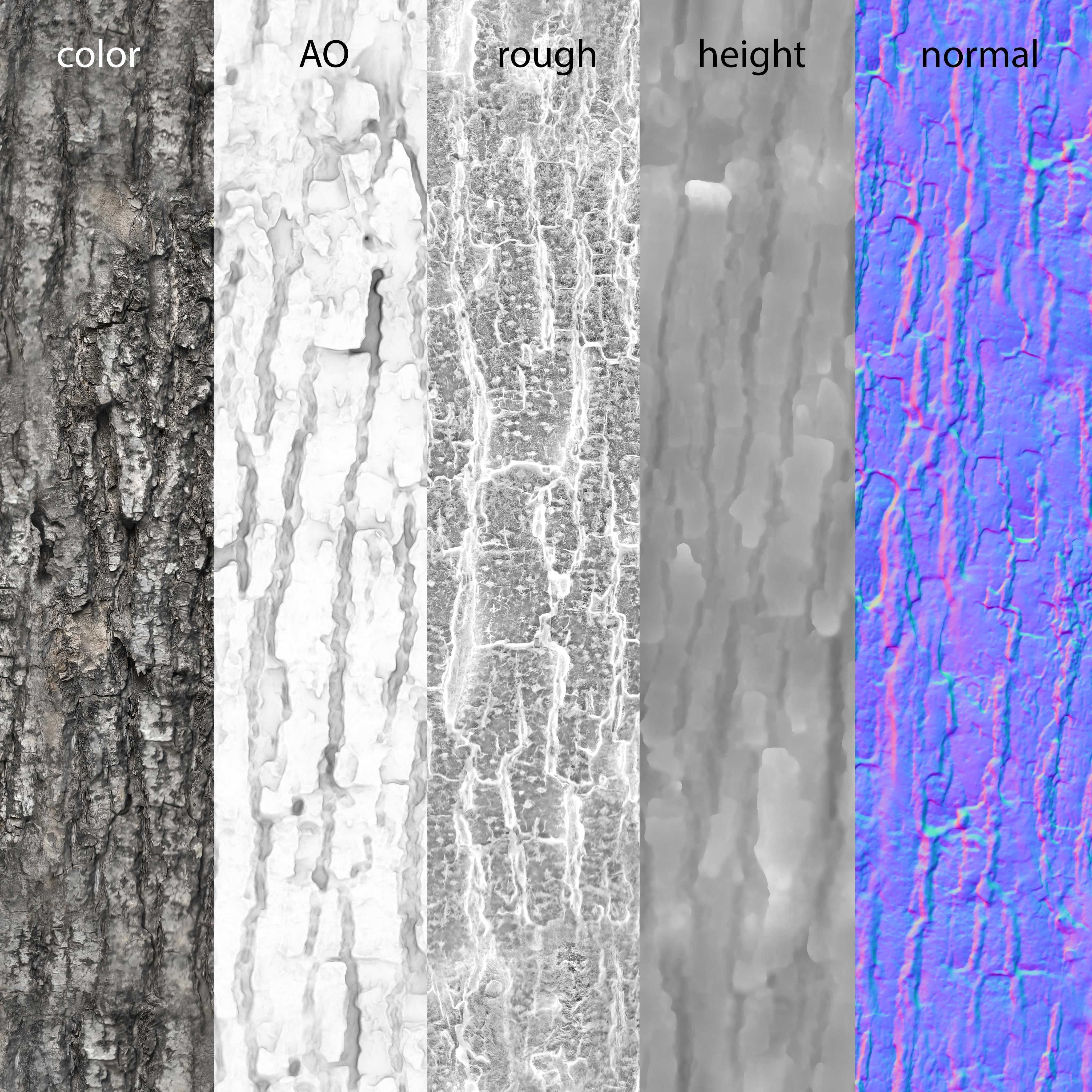 Bark 4k PBR metal roughness Texture | CGTrader