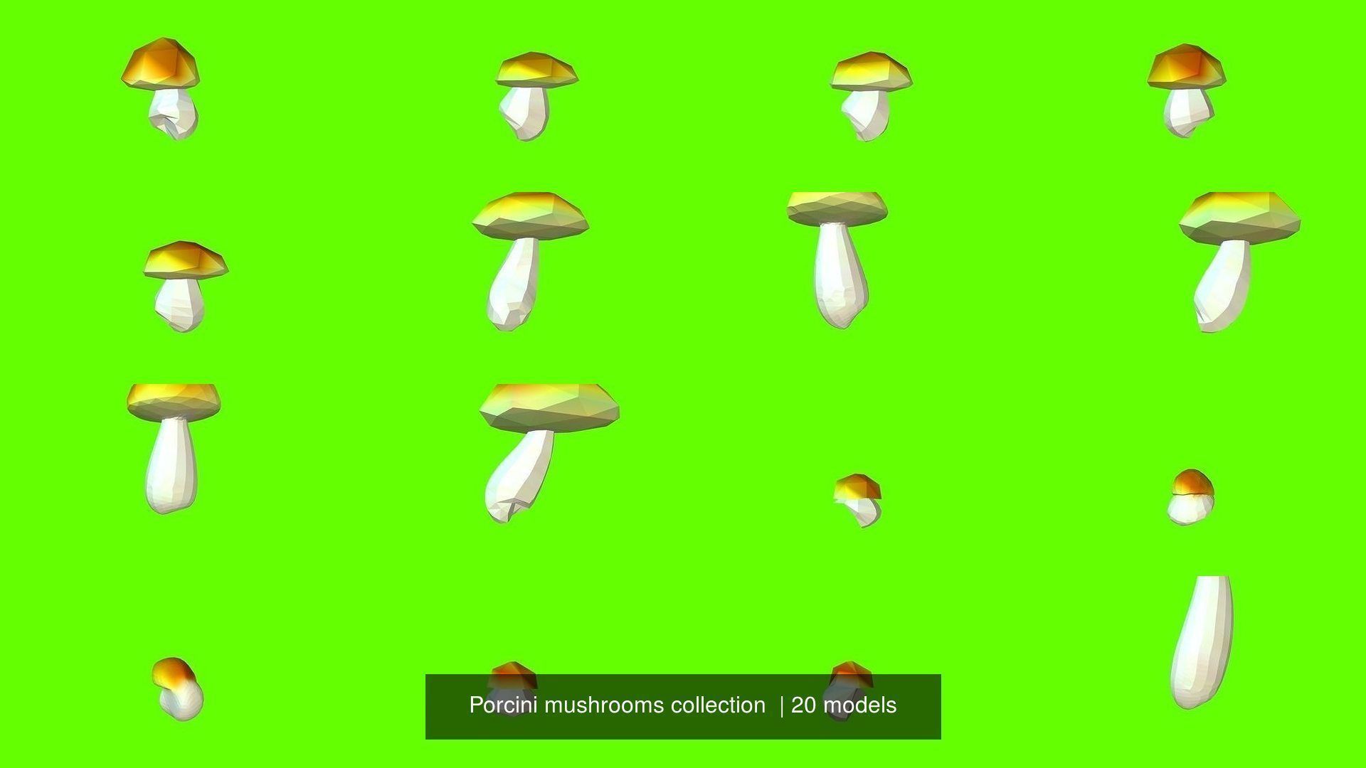 Porcini mushrooms collection CGTrader