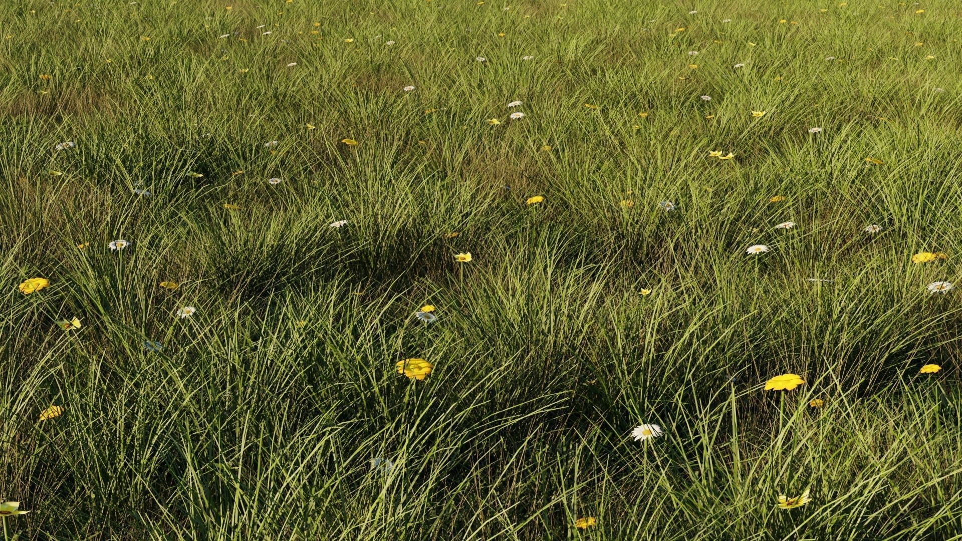 Grass Set 3d Model Cgtrader