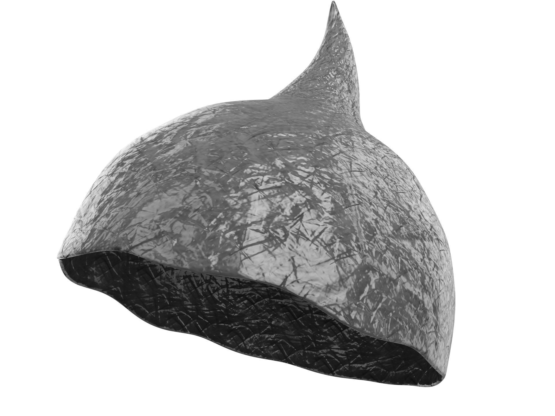 Foil Hat 3D model CGTrader