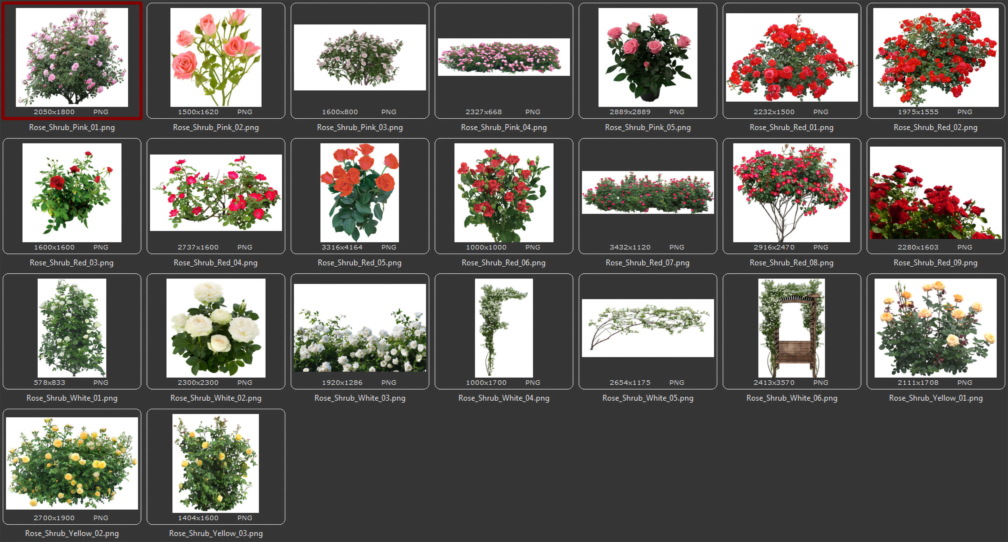 Texture A set of textures of rose bushes PNG VR / AR / low-poly | CGTrader
