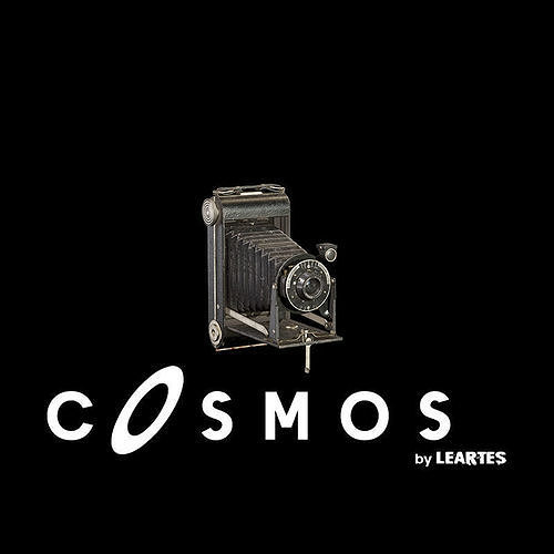Vintage Camera Low-poly 3D model