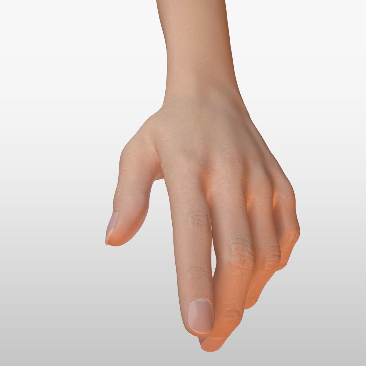 3D model Anatomic Hand Rigged model VR / AR / lowpoly CGTrader