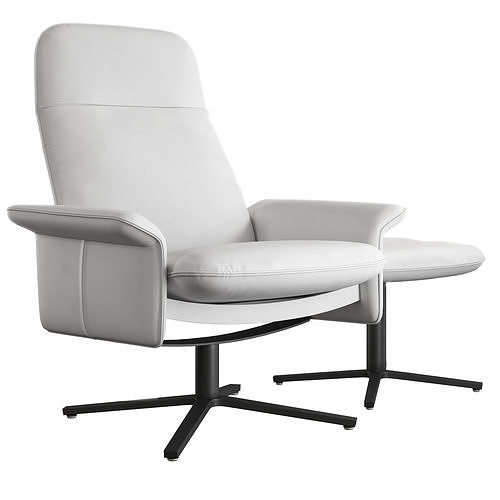 de Sede DS - 55 Armchair 3D model