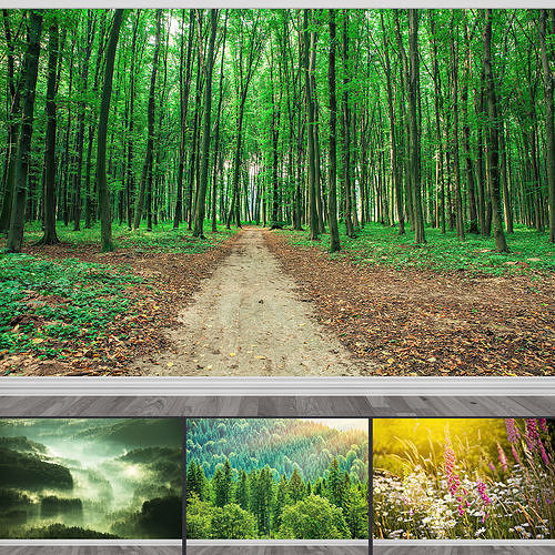 Photo Wallpaper No 6 Low-poly 3D model