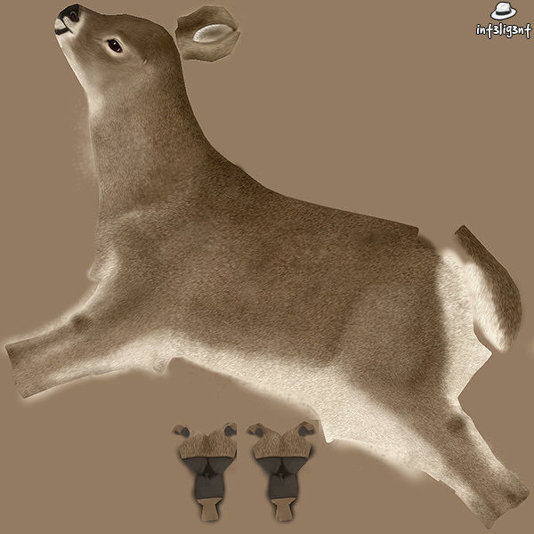 3D model Doe Model VR / AR / low-poly | CGTrader