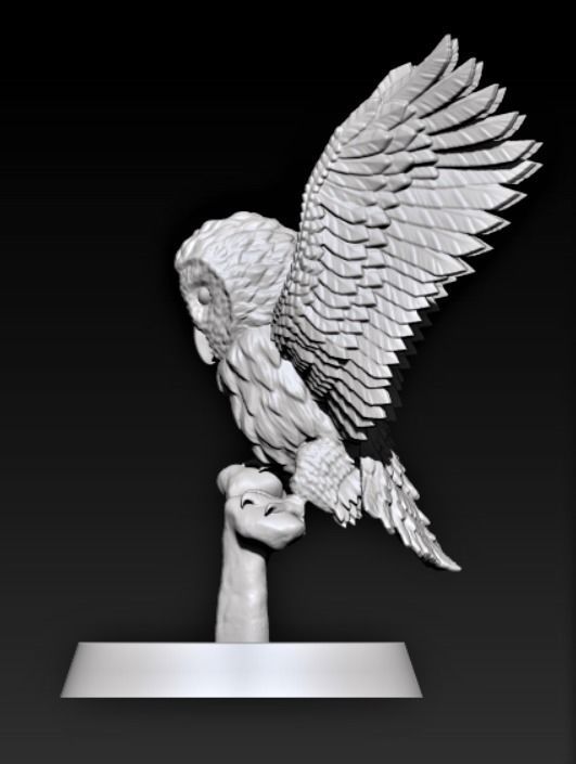 Barn Owl 3D print model 3D model 3D printable | CGTrader