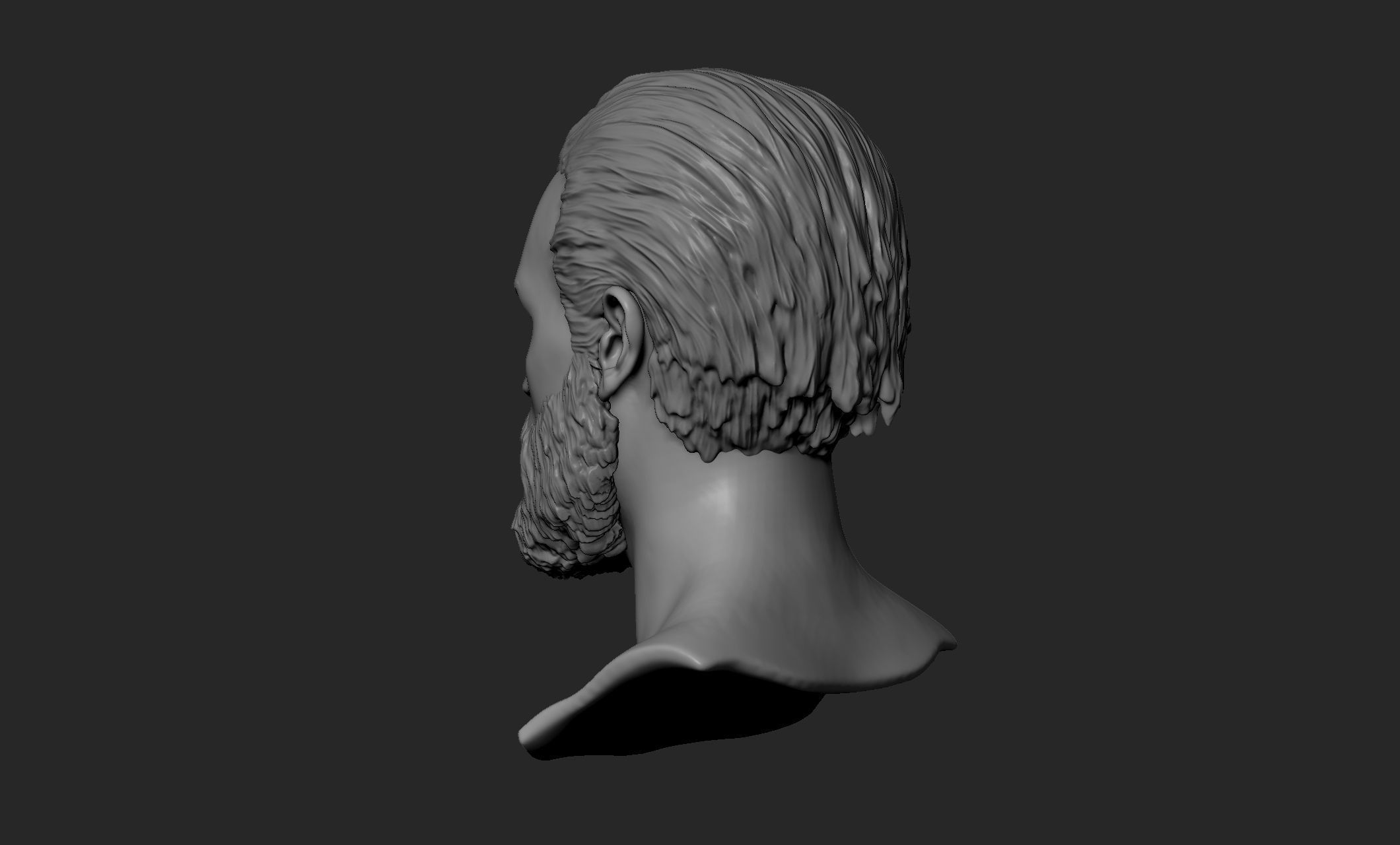 Male Head with Hair and Beard 3D model | CGTrader
