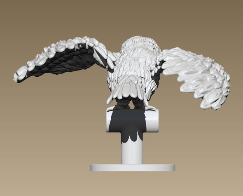 Barn Owl 3D model 3D printable | CGTrader