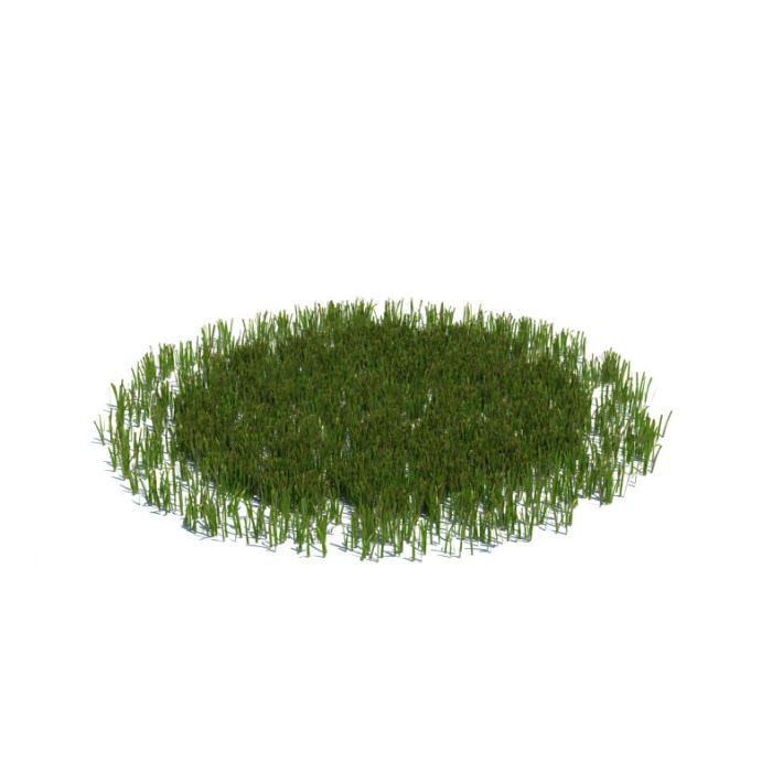 Grass That Fits Well Onto Floor Surface 3D model