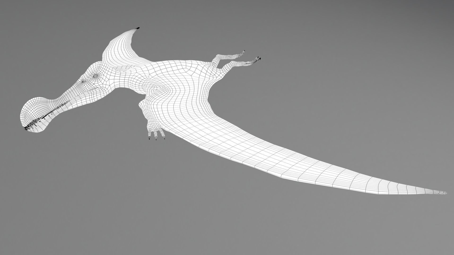 3D model Tropeognathus dinosaur flying VR / AR / lowpoly CGTrader