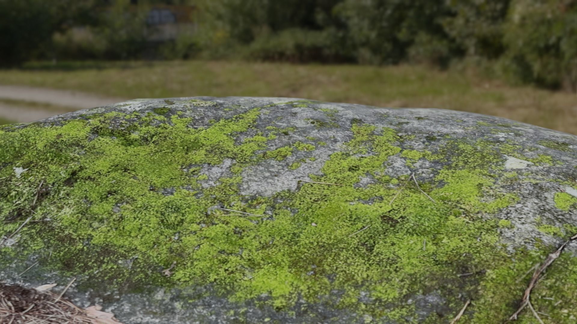 4 types of Moss Rock set 3D model CGTrader
