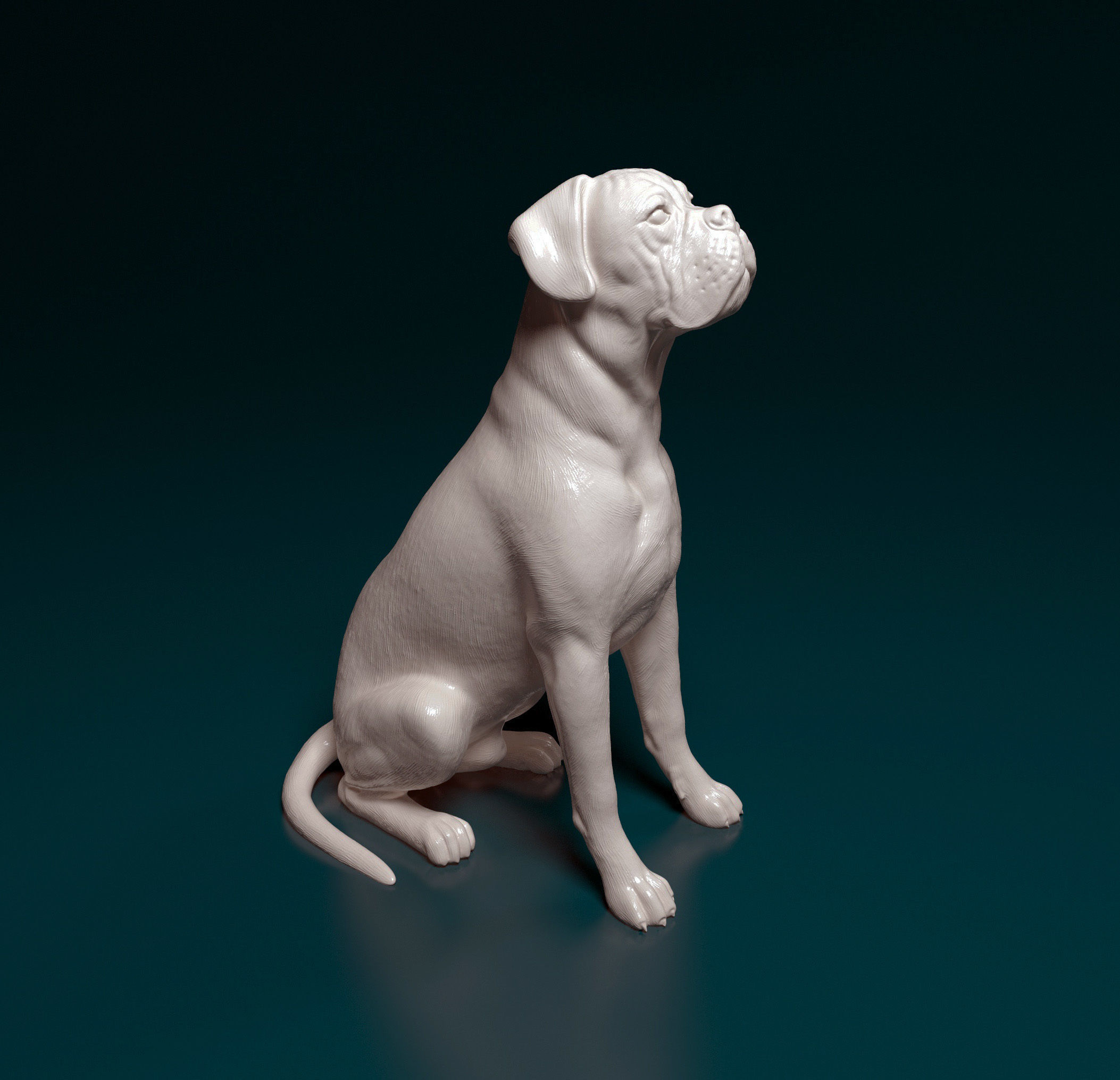 Boxer dog 3D model 3D printable CGTrader