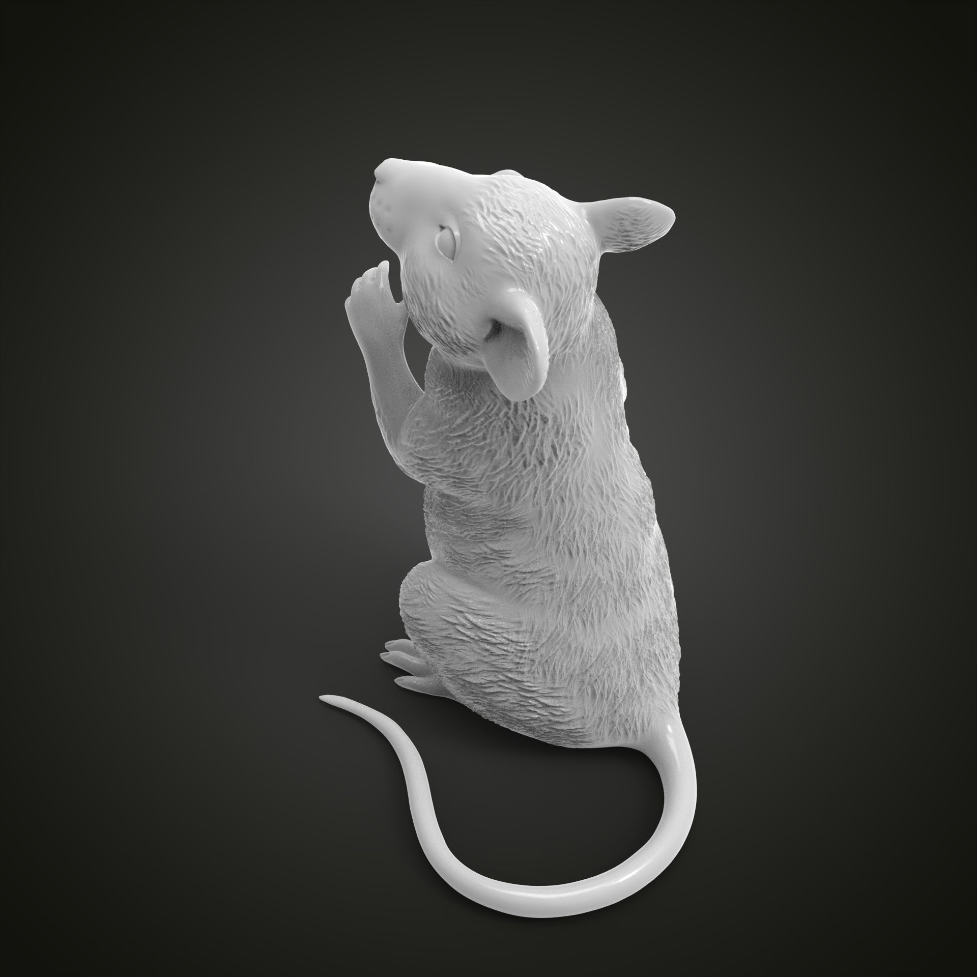 Mouse 3D model 3D printable | CGTrader
