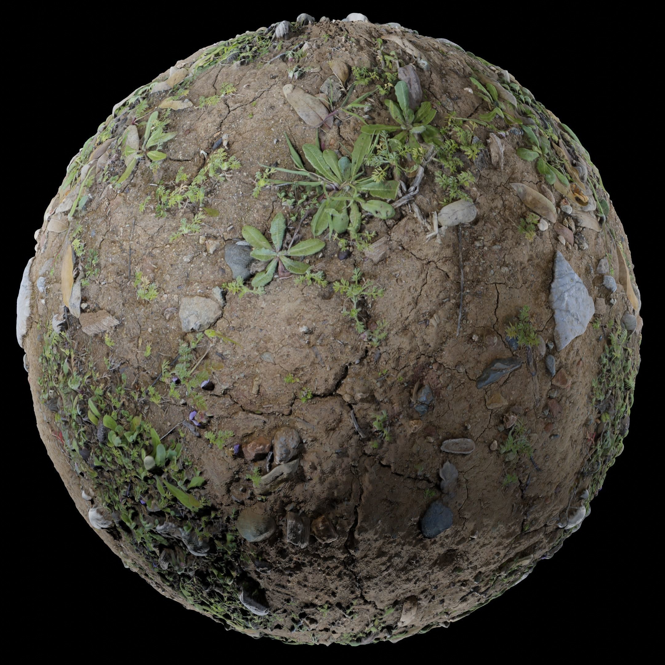 Low Vegetation 5 Texture CGTrader