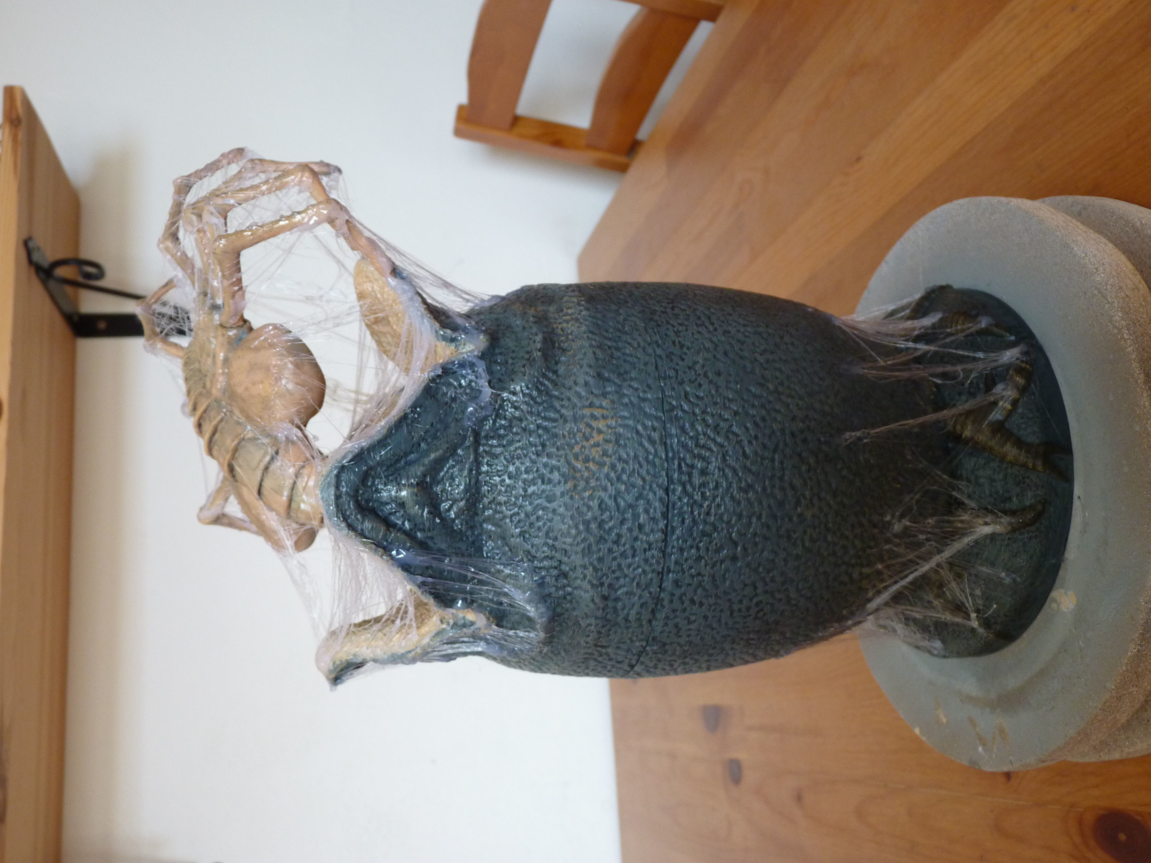 The Facehugger egg 3D model 3D printable CGTrader