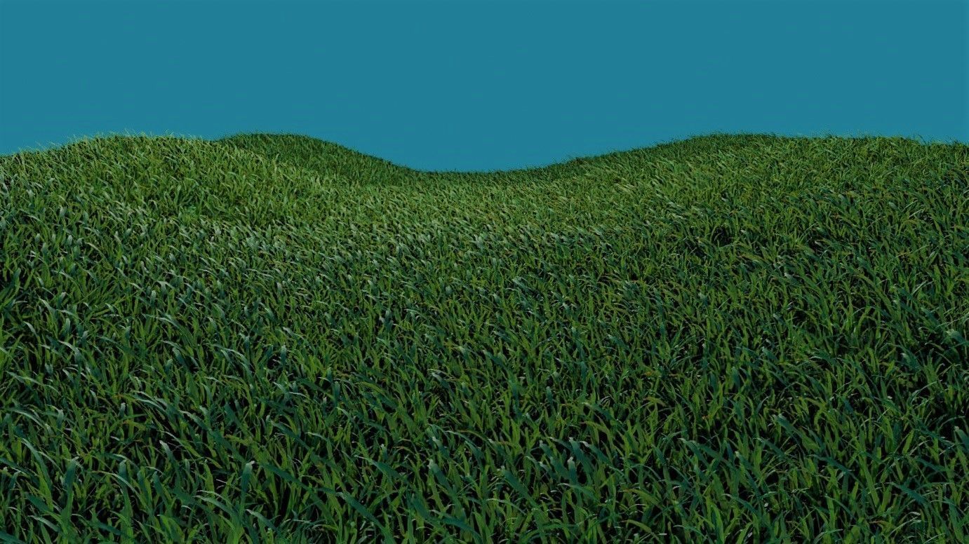 Simple Blender Grass 3D Model free 3D model CGTrader