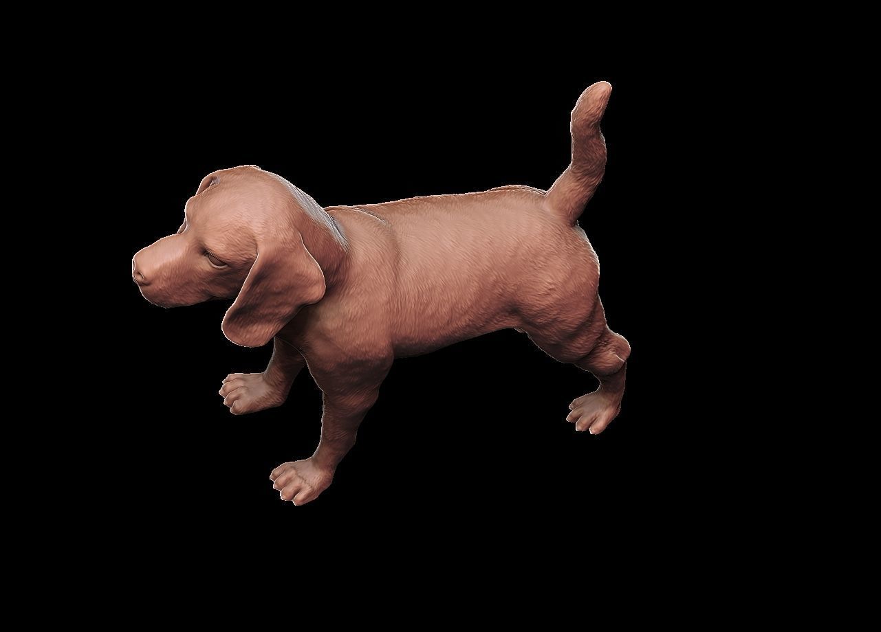 Beagle model 3D print model dog 3D model 3D printable | CGTrader