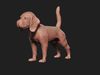 Beagle model 3D print model dog 3D model 3D printable | CGTrader