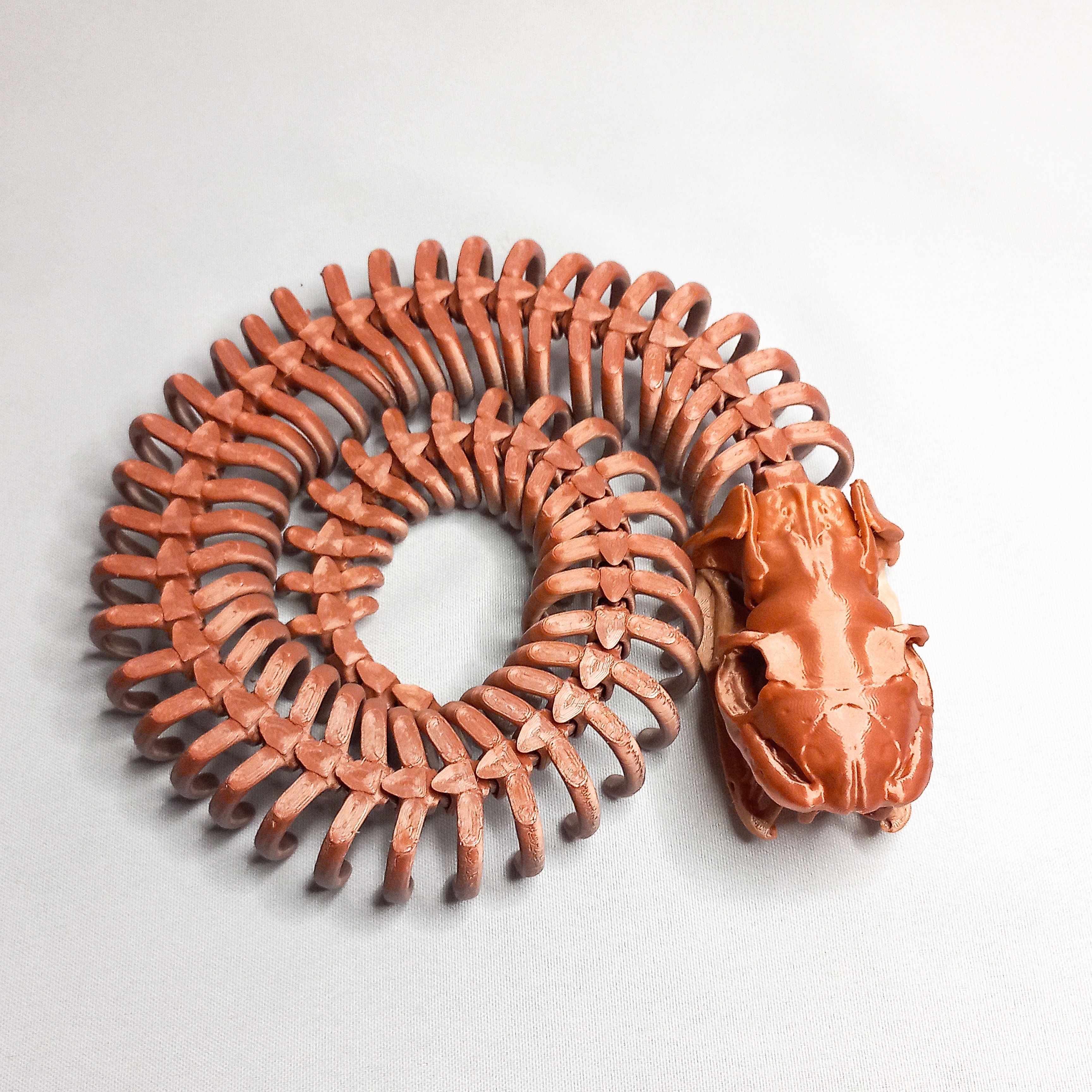 ARTICULATED SKELETON SNAKE 3D model 3D printable CGTrader