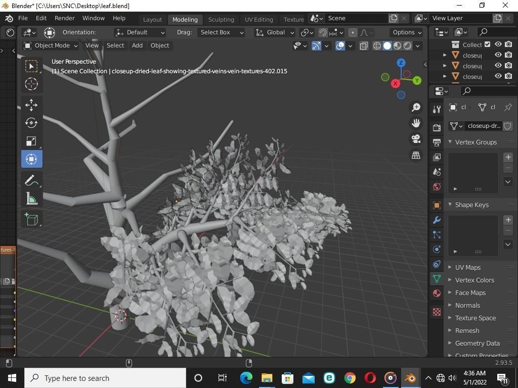 Blender tree 3D model | CGTrader