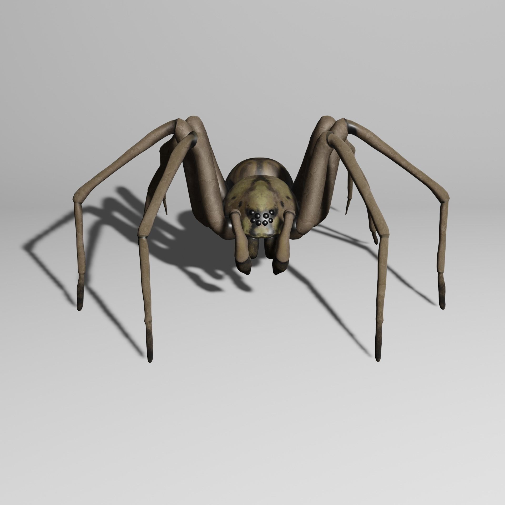 Spider with animations 3D model CGTrader
