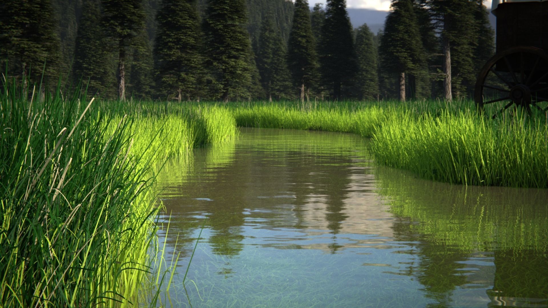 Pine Forest 3d Scene 3D model | CGTrader