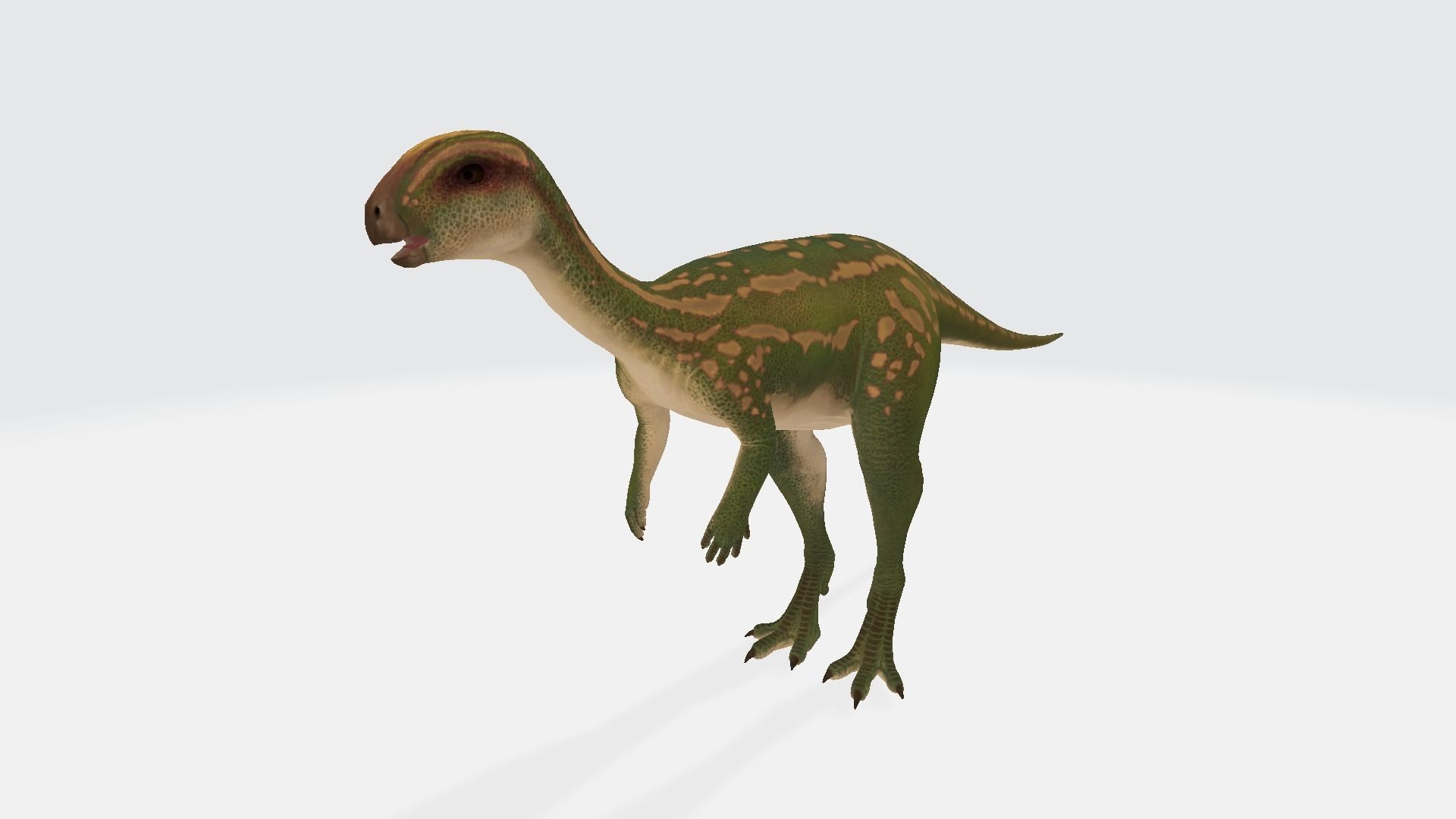 Dryosaurus dinosaur 3D model | CGTrader