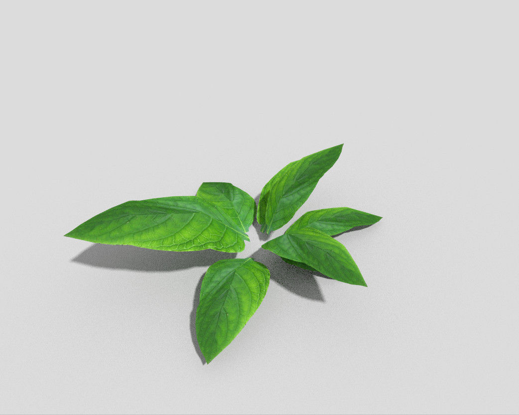 Low poly Plant