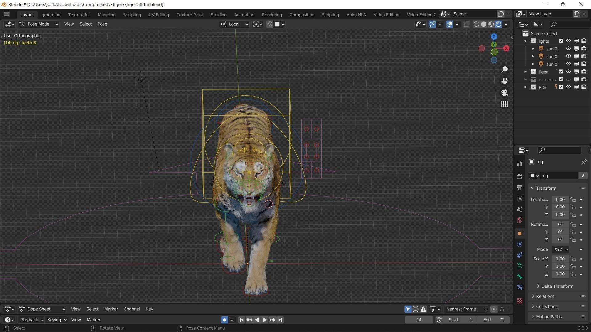 Realistic Tiger Rigged and Animated model Blender 3D model animated