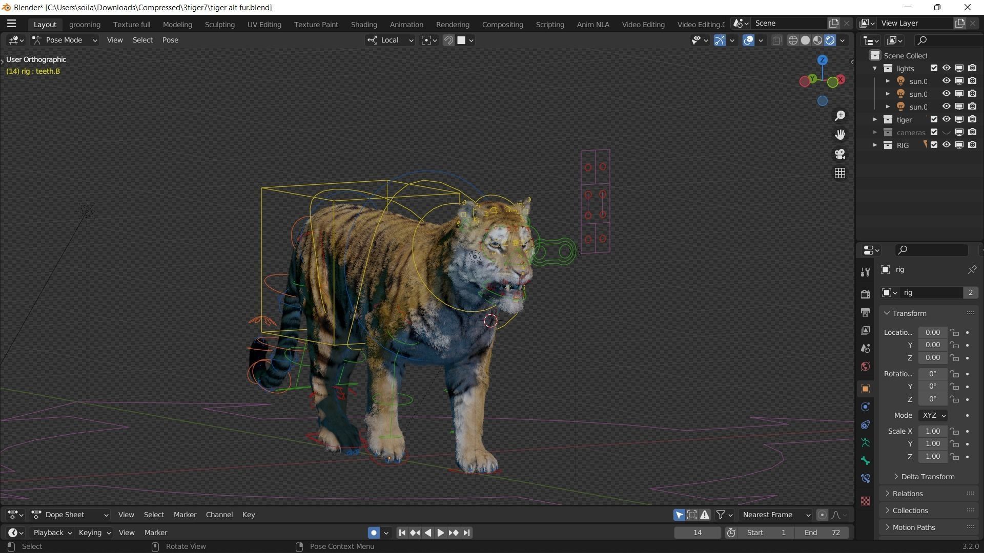 Realistic Tiger Rigged and Animated model Blender 3D model animated
