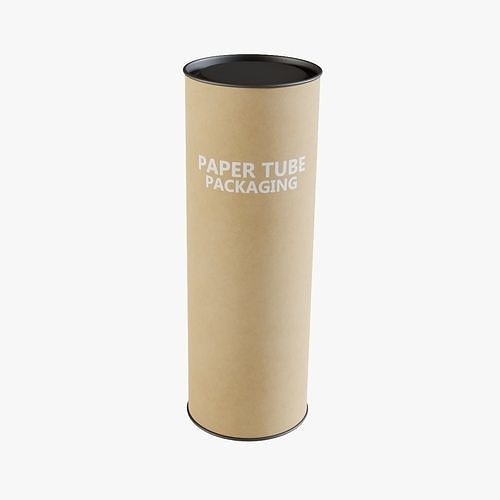3D model Paper Tube 11 VR / AR / lowpoly CGTrader