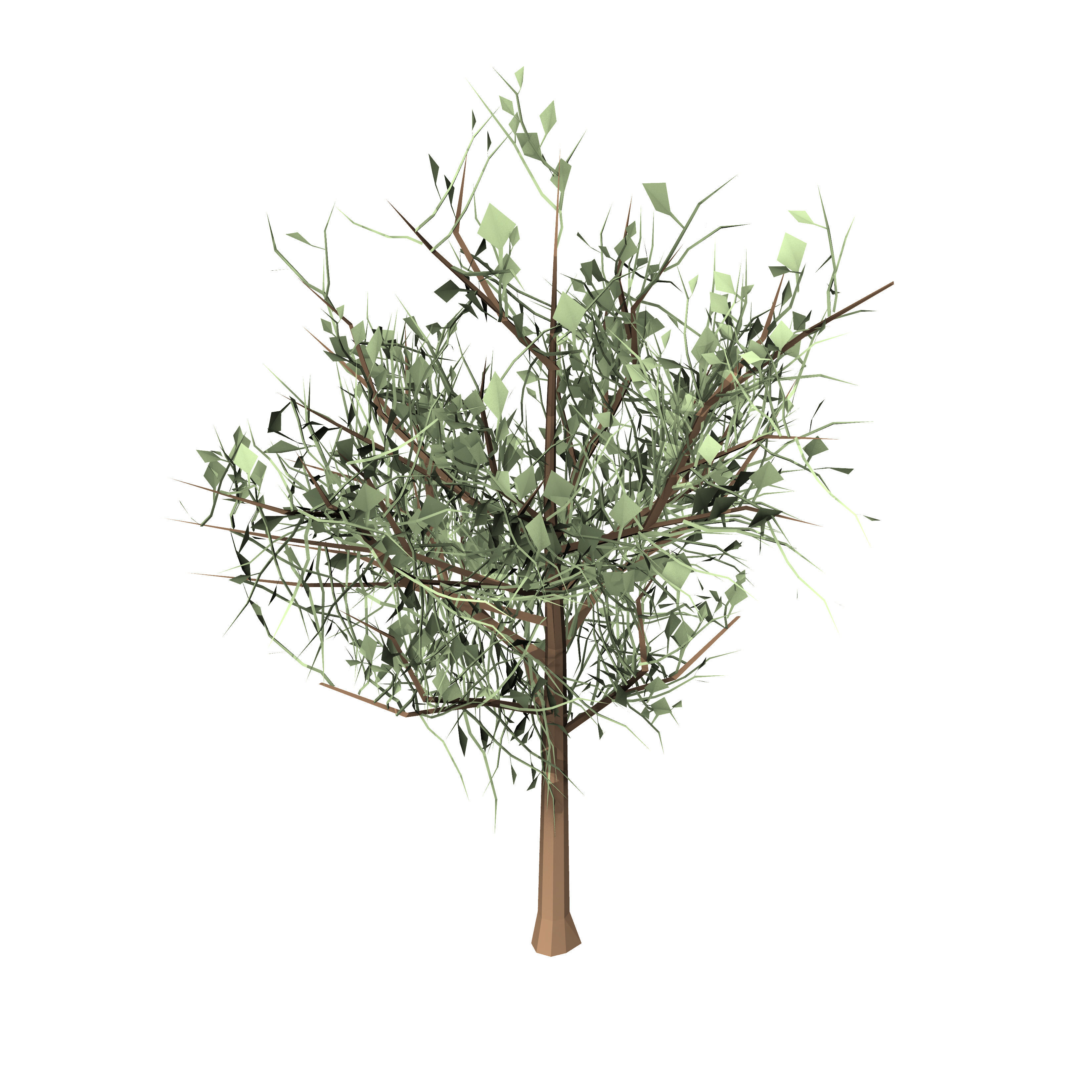 Tree Low Poly olive free VR / AR / low-poly 3D model | CGTrader