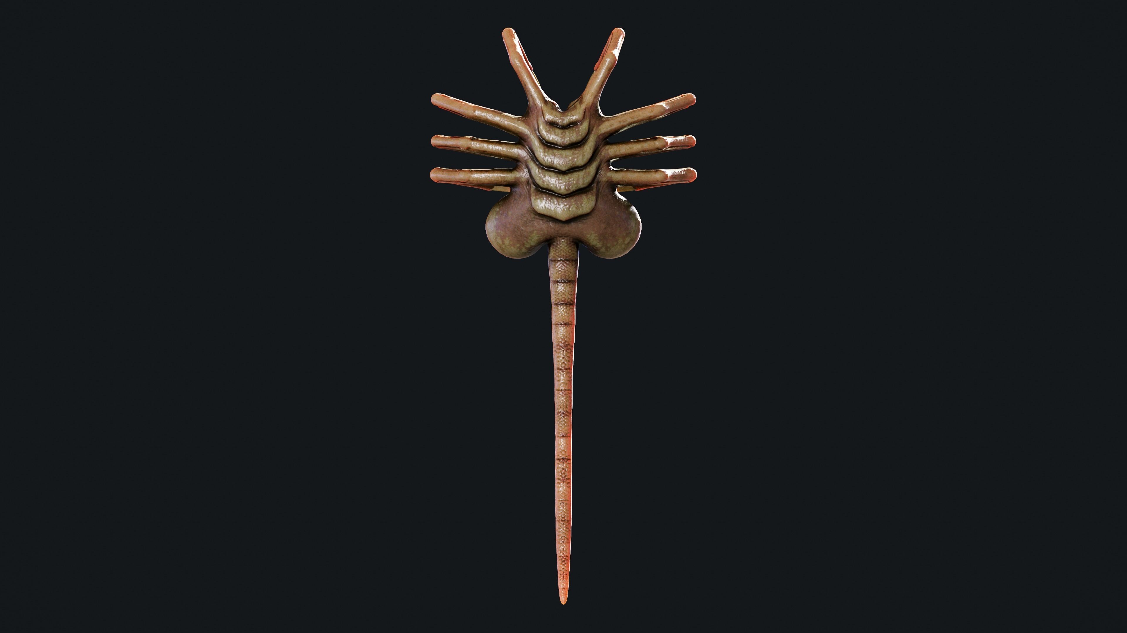 FaceHugger FanArt 3D model CGTrader