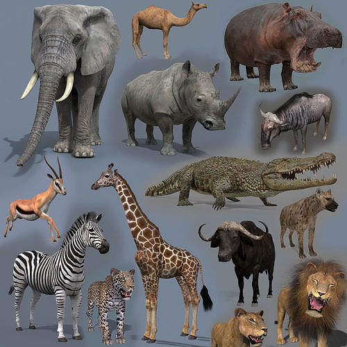 Colossal Animal Pack HD Animated 3D model animated rigged CGTrader