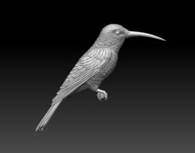 Free Hummingbird 3D Printing Models | CGTrader