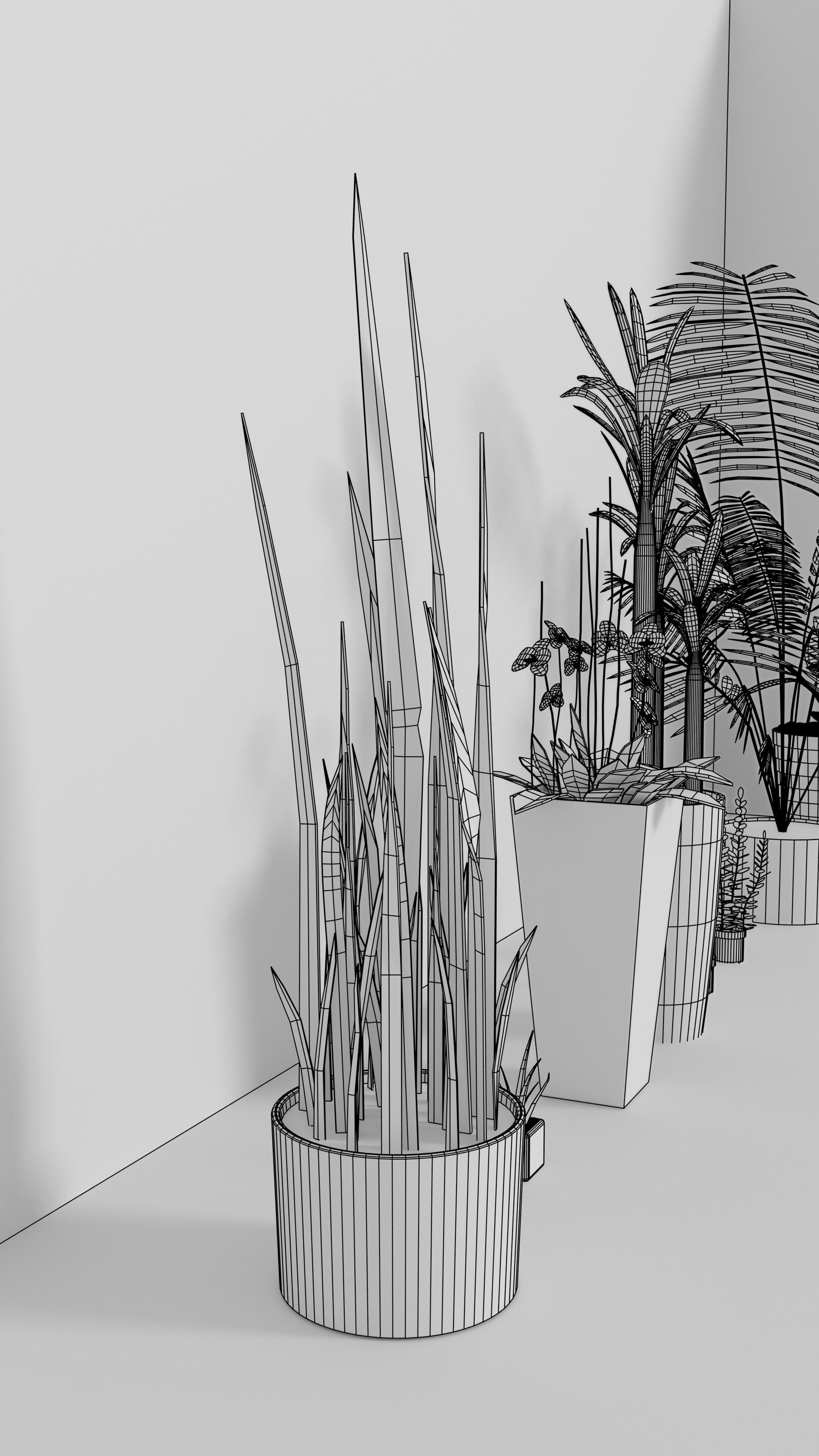 3D Models of plants 3D model CGTrader