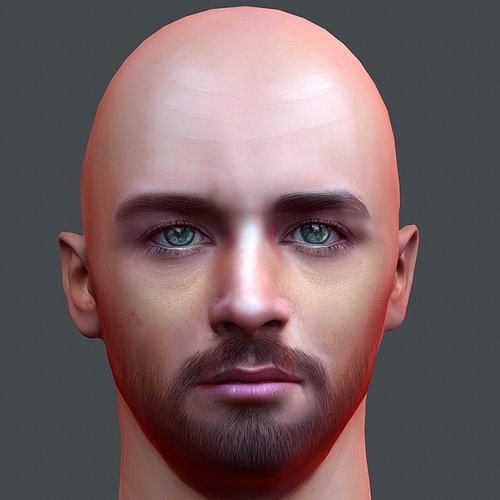 3D model Male head Realistic Perfect Head Lowpoly 3D model game ready