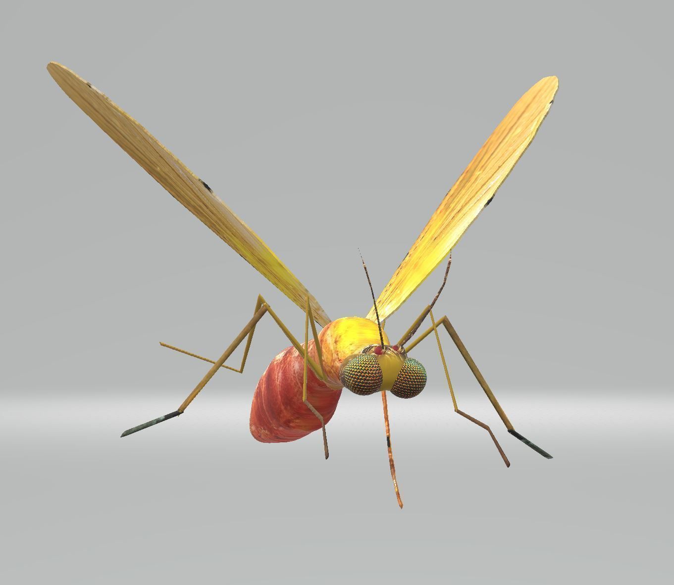 Mosquito Blood Sucked Culex ready yo fly 3D model | CGTrader