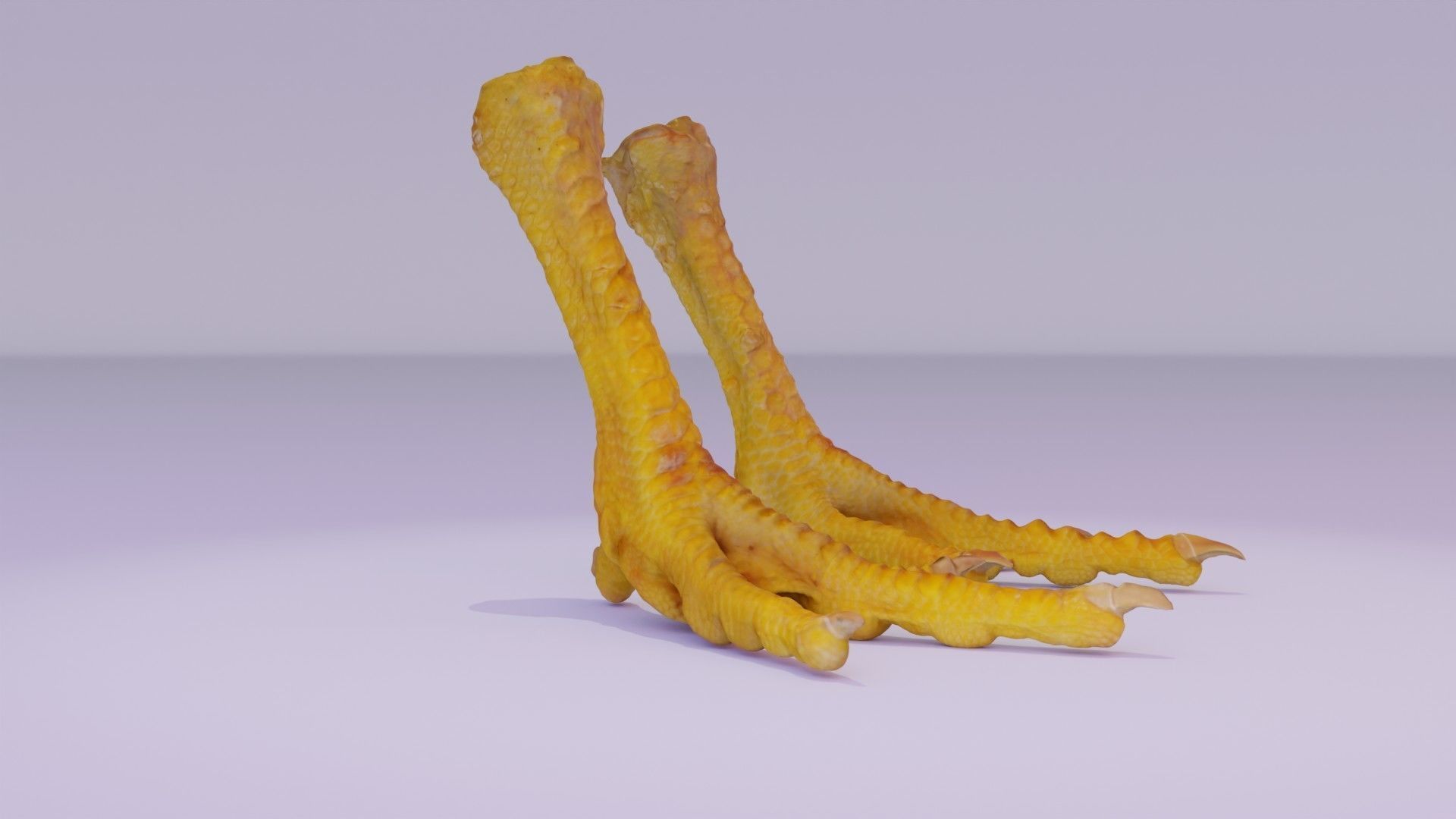 Pair chicken feet high-poly 3D model | CGTrader