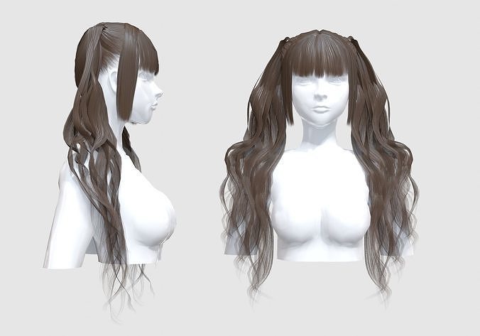 Pigtails Bangs Hair  3D model