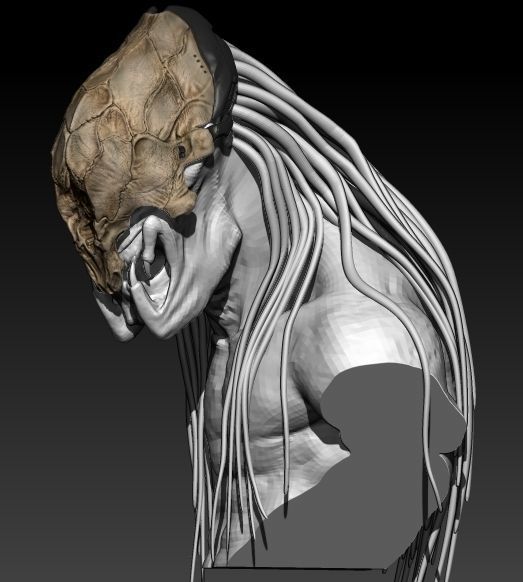 Feral Predator Mask prey 3D model 3D printable CGTrader