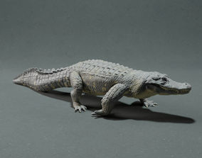 Free Alligator 3D Printing Models | CGTrader