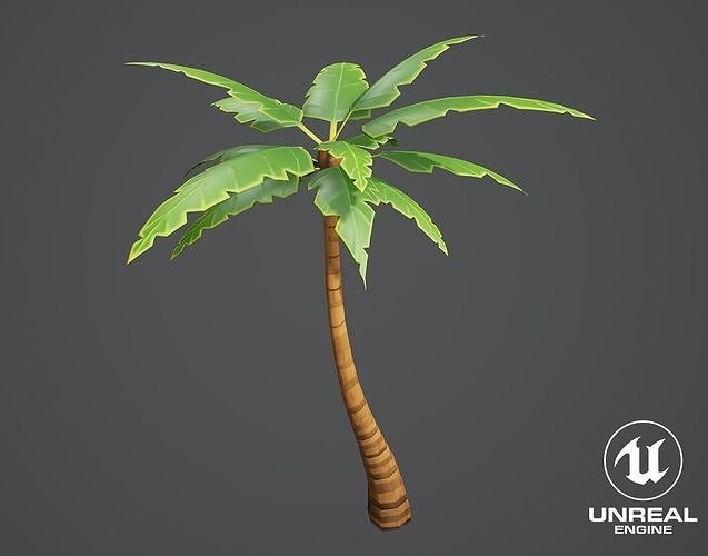 3D model Stylized Palm Tree 01 VR / AR / low-poly | CGTrader
