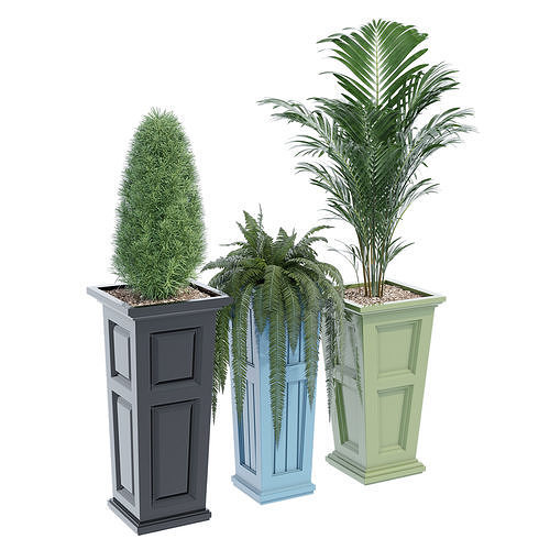 Amazon tall 3D model