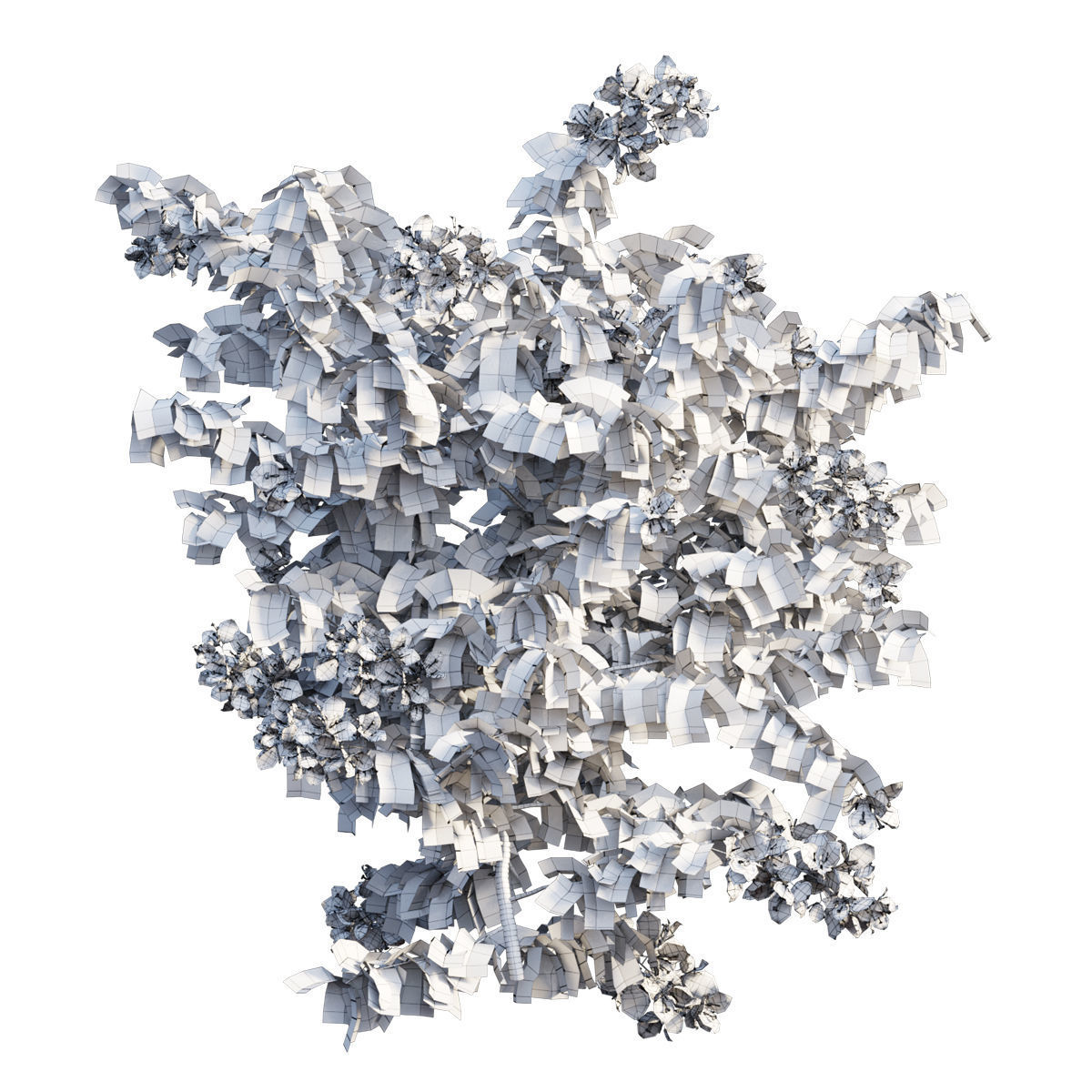 Bougainvillea Plant Set 32 3d Model Cgtrader