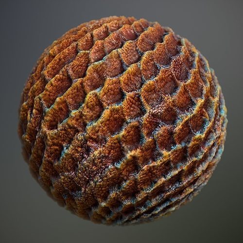 Material Skin Alien 19 Seamless PBR Texture Free Texture | CGTrader