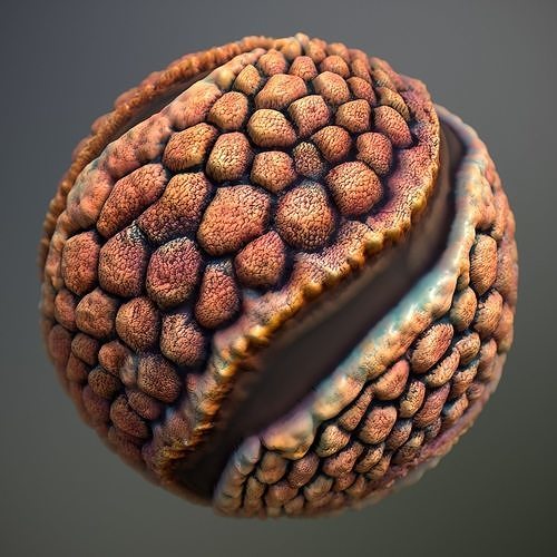 Material Skin Alien 12 Seamless PBR Texture Texture | CGTrader