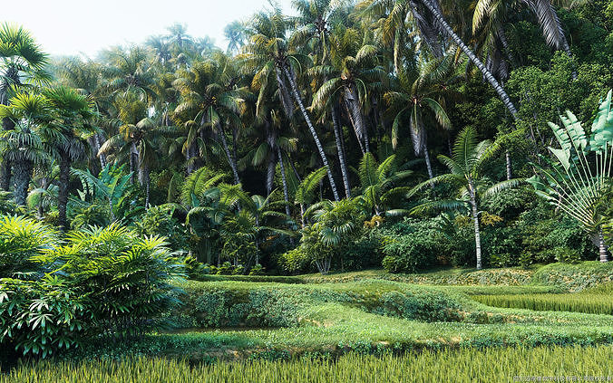 Maxtree Plant Models Vol 7 - Mesh 3D model | CGTrader