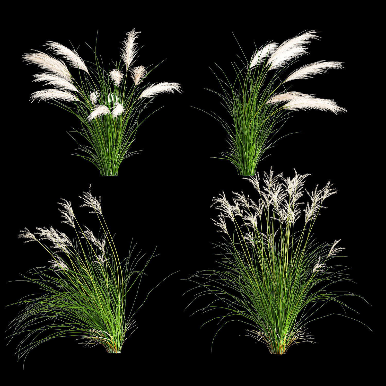 Ornamental Bushes For Landscape Design 1131 3D model | CGTrader